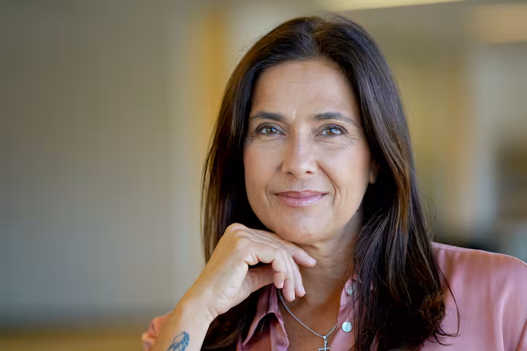 Talerico denunció un contrato de la SIDE con una consultora de lobby y apuntó a Caputo por presunto tráfico de influencias