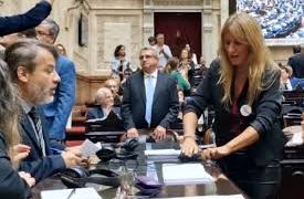 Lemoine a diputada K Carignano: “Quedaste grabada, pedazo de loca“