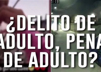 Imputabilidad a los14: correcta, pero incompleta si no se adopta el modelo ya probado de EEUU para delitos graves. Oportunidad para el senado de mejorarlo