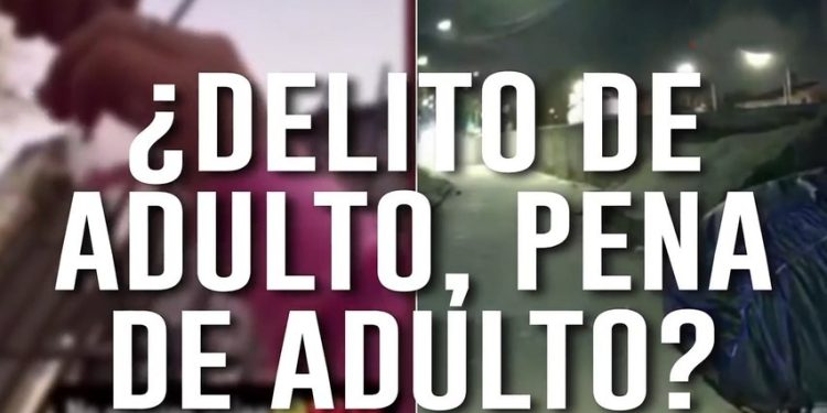 Imputabilidad a los14: correcta, pero incompleta si no se adopta el modelo ya probado de EEUU para delitos graves. Oportunidad para el senado de mejorarlo