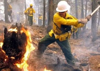 Incendios forestales mantienen en alerta a Neuquén: más de 50.000 hectáreas arrasadas y focos activos bajo vigilancia