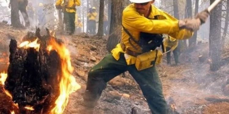 Incendios forestales mantienen en alerta a Neuquén: más de 50.000 hectáreas arrasadas y focos activos bajo vigilancia