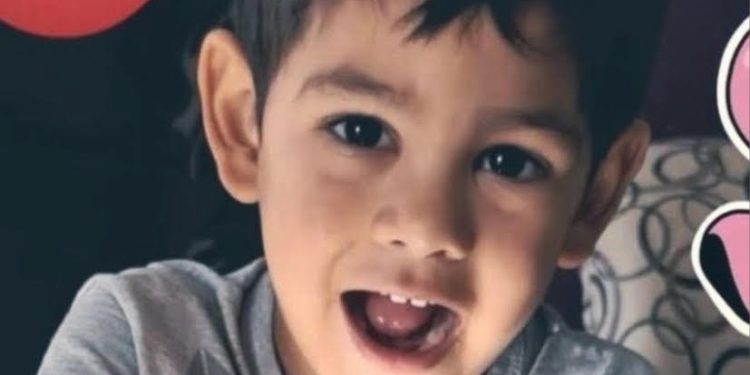 El Sicariato del Género: La Antropofagia de los Tribunales y el Festín de la Socialdemocracia Global