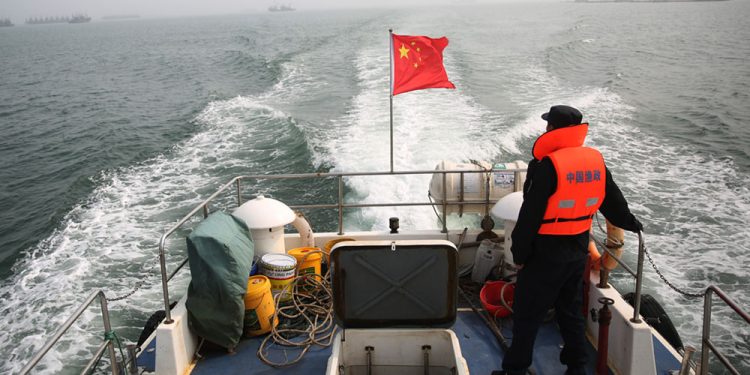 China avanza sobre la pesca argentina y crece la alarma por permisos, empresas y control estatal