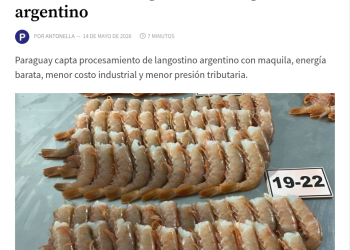 Paraguay procesa langostino argentino y exporta, mientras Argentina mira: la pesca y su industria también necesita un RIGI
