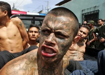 Pandillas en Centroamérica: búnkeres, cámaras clandestinas y una amenaza criminal cada vez más sofisticada