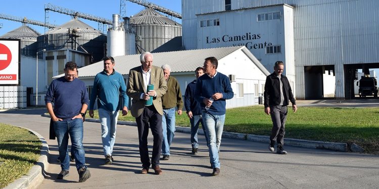 Entre Ríos muestra las dos caras de la avicultura: cierre por conflicto gremial en Tres Arroyos y una inversión millonaria de Las Camelias