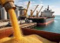 Economía Sencilla 93: El Niño y China: la campaña 26/27 se define entre el Pacífico y el crushing