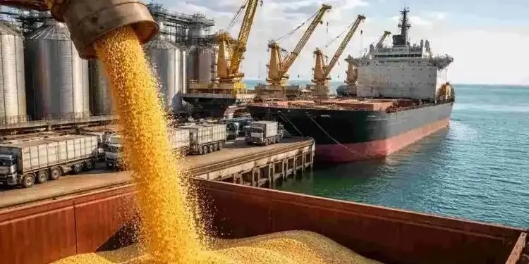 Economía Sencilla 93: El Niño y China: la campaña 26/27 se define entre el Pacífico y el crushing