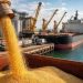 Economía Sencilla 93: El Niño y China: la campaña 26/27 se define entre el Pacífico y el crushing