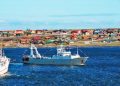 Malvinas se financia con la pesca: el presupuesto británico de las islas expone la debilidad argentina en el Atlántico Sur