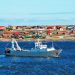 Malvinas se financia con la pesca: el presupuesto británico de las islas expone la debilidad argentina en el Atlántico Sur