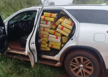 Casi una tonelada de marihuana, una camioneta robada y ningún detenido: el operativo de Gendarmería que deja demasiadas preguntas