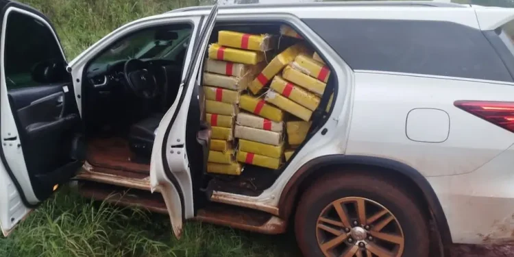 Casi una tonelada de marihuana, una camioneta robada y ningún detenido: el operativo de Gendarmería que deja demasiadas preguntas