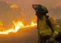 Tras tragedia de Almería, expertos denuncian el abandono forestal y advierten por incendios descomunales en Andalucía