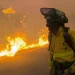 Tras tragedia de Almería, expertos denuncian el abandono forestal y advierten por incendios descomunales en Andalucía