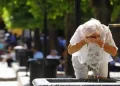 En Alemania ya hubo más de 5.000 muertes por calor extremo y admite fallas de preparación ante olas cada vez más letales