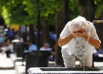 En Alemania ya hubo más de 5.000 muertes por calor extremo y admite fallas de preparación ante olas cada vez más letales