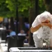 En Alemania ya hubo más de 5.000 muertes por calor extremo y admite fallas de preparación ante olas cada vez más letales