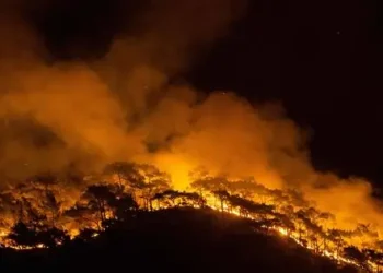 Europa enfrenta incendios provocados e investiga si se trata de posibles sabotajes rusos