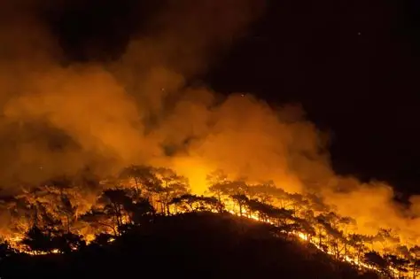 Europa enfrenta incendios provocados e investiga si se trata de posibles sabotajes rusos