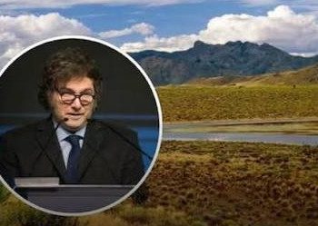 Milei busca liberar la venta de campos a extranjeros mientras Brasil, Uruguay y Paraguay conservan controles estratégicos