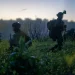 Israel asestó duro golpe a bastión histórico de Hezbolá: tomó Bint Jbeil y destruyó más de 1.500 objetivos terroristas