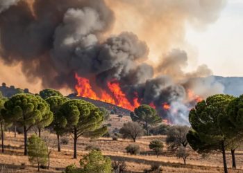España combate su peor emergencia forestal del año: Sánchez admite que el viento puede frustrar la tregua y 63.000 personas siguen afectadas