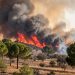 España combate su peor emergencia forestal del año: Sánchez admite que el viento puede frustrar la tregua y 63.000 personas siguen afectadas