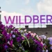 Ucrania vuelve a golpear a Wildberries y lleva la guerra económica al corazón logístico de Rusia