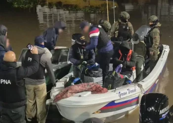 Golpe de Prefectura al narco en la Hidrovía: 499 kilos, cinco presos y una ruta hacia Europa