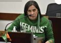 Chaco: entre la emergencia y el orgasmo legislativo