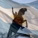 San Martín, el soldado que desafió imperios y liberó naciones