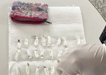 Un niño llevó 71 dosis de Cocaína al jardín y su madre volvió a reclamarlas: la droga cómo rutina familiar
