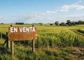 La Corte destrabó la venta de tierras a extranjeros, pero dejó abierta la batalla constitucional