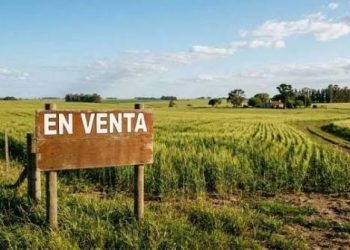La Corte destrabó la venta de tierras a extranjeros, pero dejó abierta la batalla constitucional